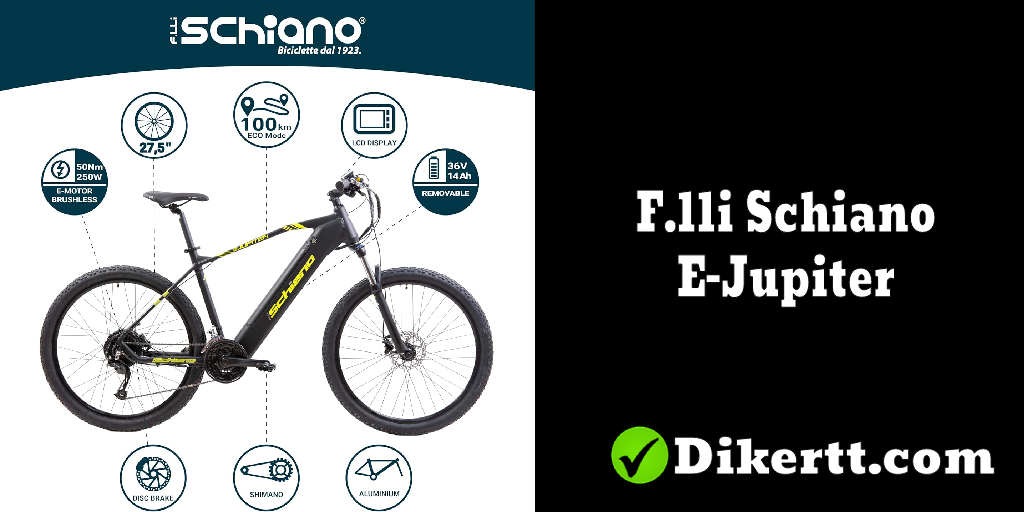 Bicicleta eléctrica F.lli Schiano E-Jupiter opiniones