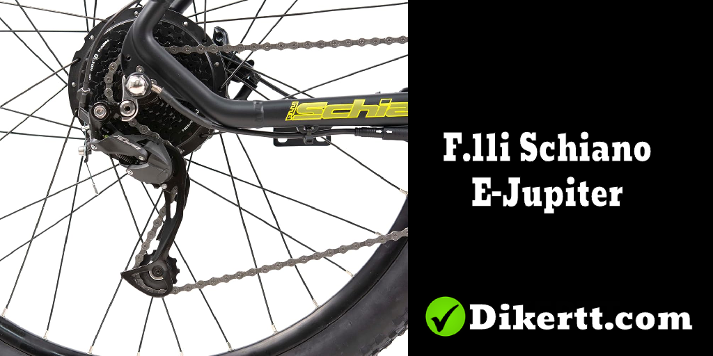 Comparativa bicicletas eléctricas F.lli Schiano E-Jupiter vs otras marcas