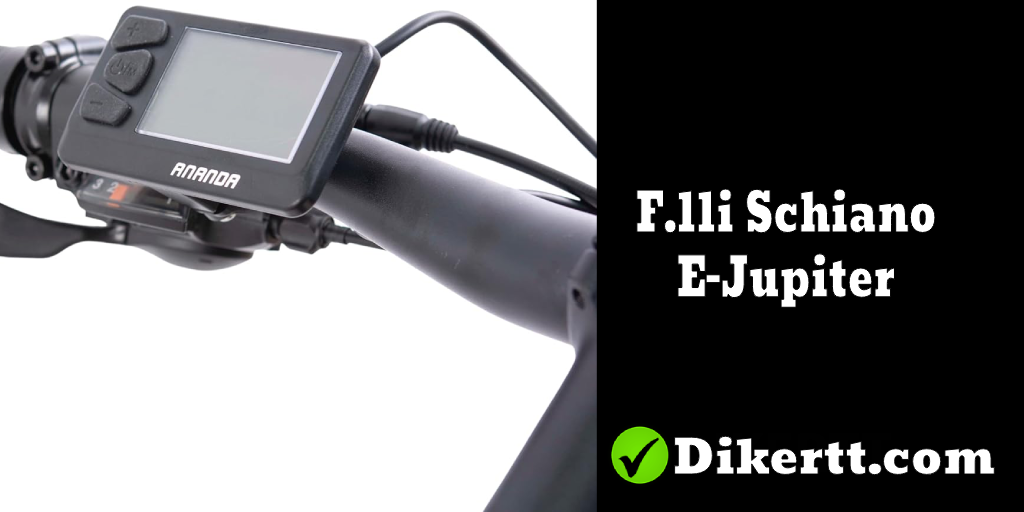 Precio F.lli Schiano E-Jupiter bicicleta eléctrica