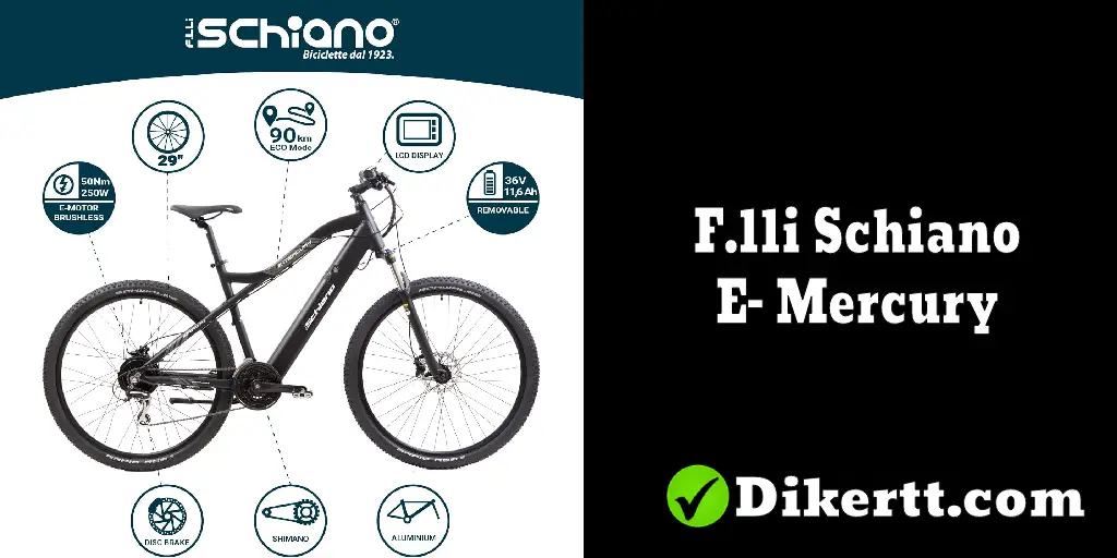 Características de la bicicleta eléctrica F.lli Schiano E- Mercury 2